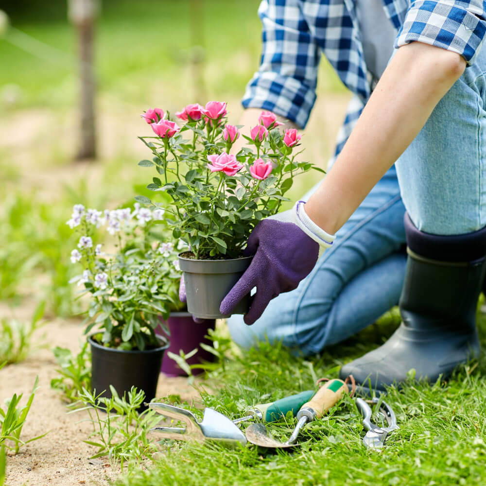 النوافير والشلالات